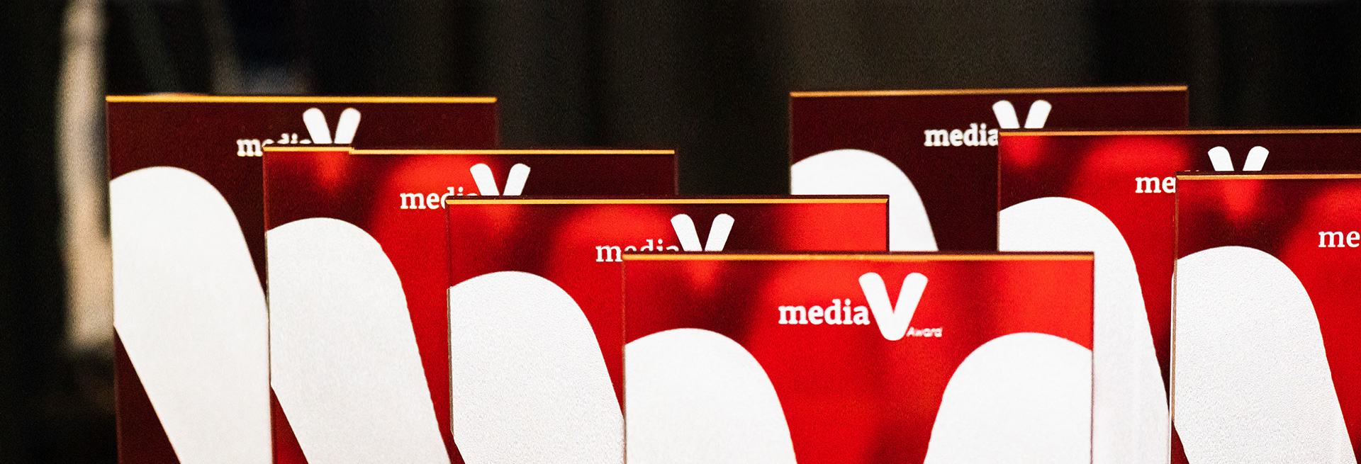 Dossier - VDWF Managing Director Ralf Dürrwächter receives special «Association Communicator of the Year» award at the 2021 mediaV Awards ceremony